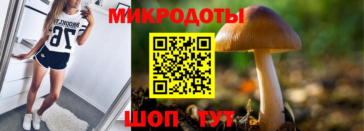 Псилоцибиновые грибы MAGIC MUSHROOMS Грязи